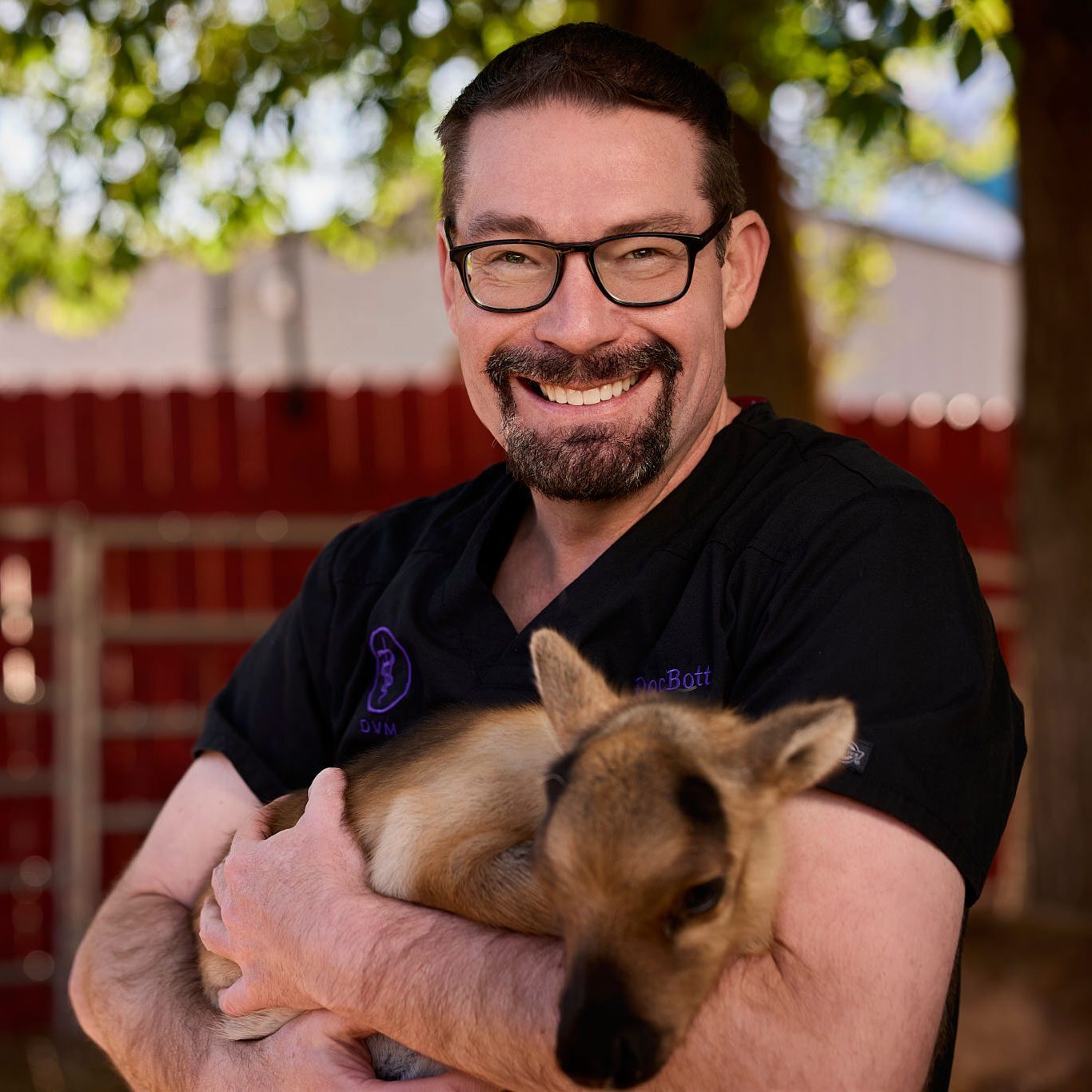 smiling male veterinarian holding a baby reindeer
